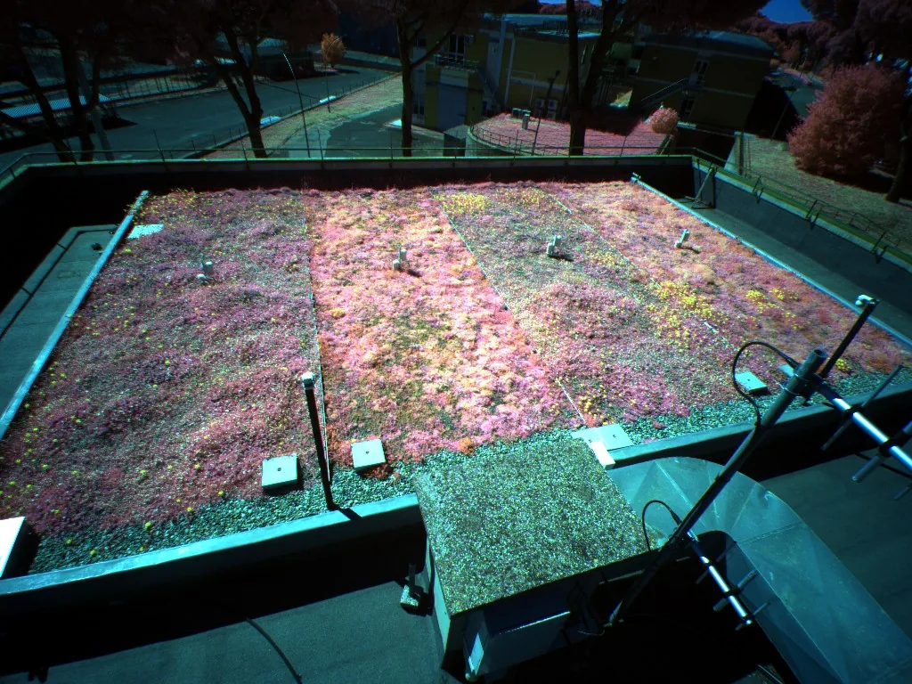 A green roof seen by the camera in false colour